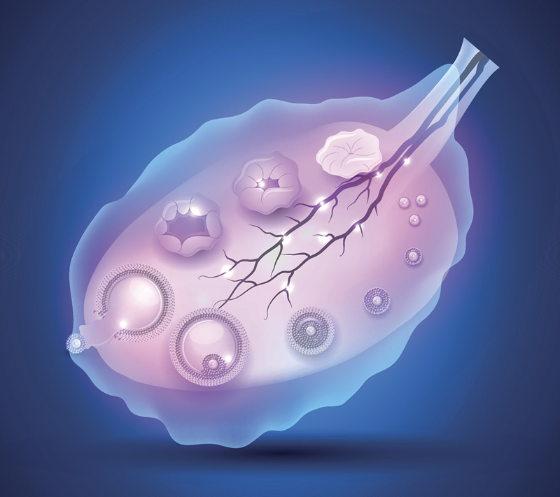 南宁正规试管助孕公司推荐及选择指南,10大助孕机构参考